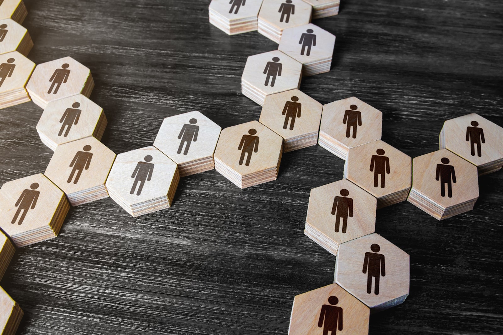 learner management system