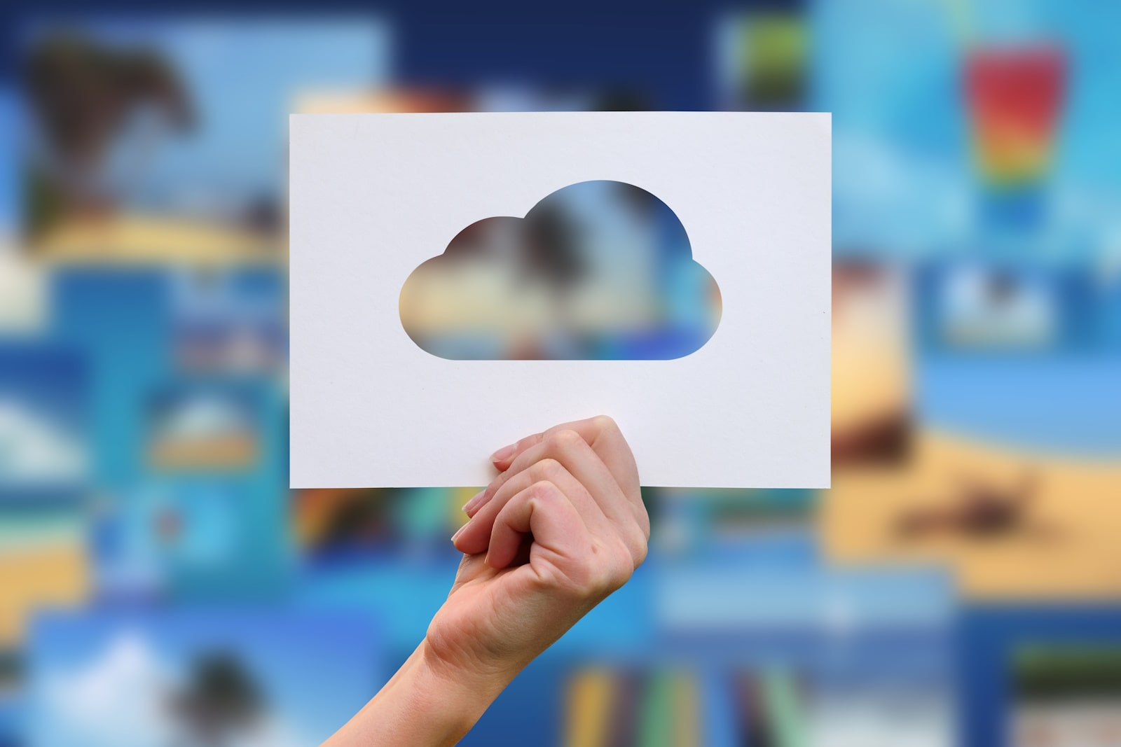 elearning lms