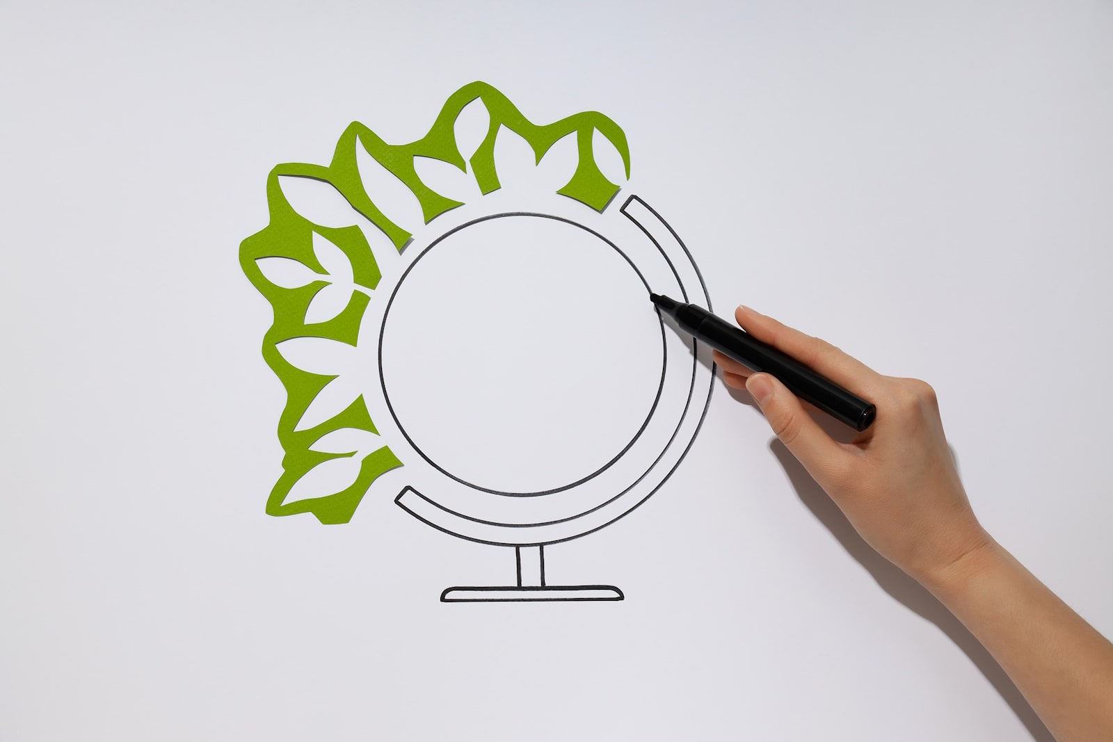whiteboard animators