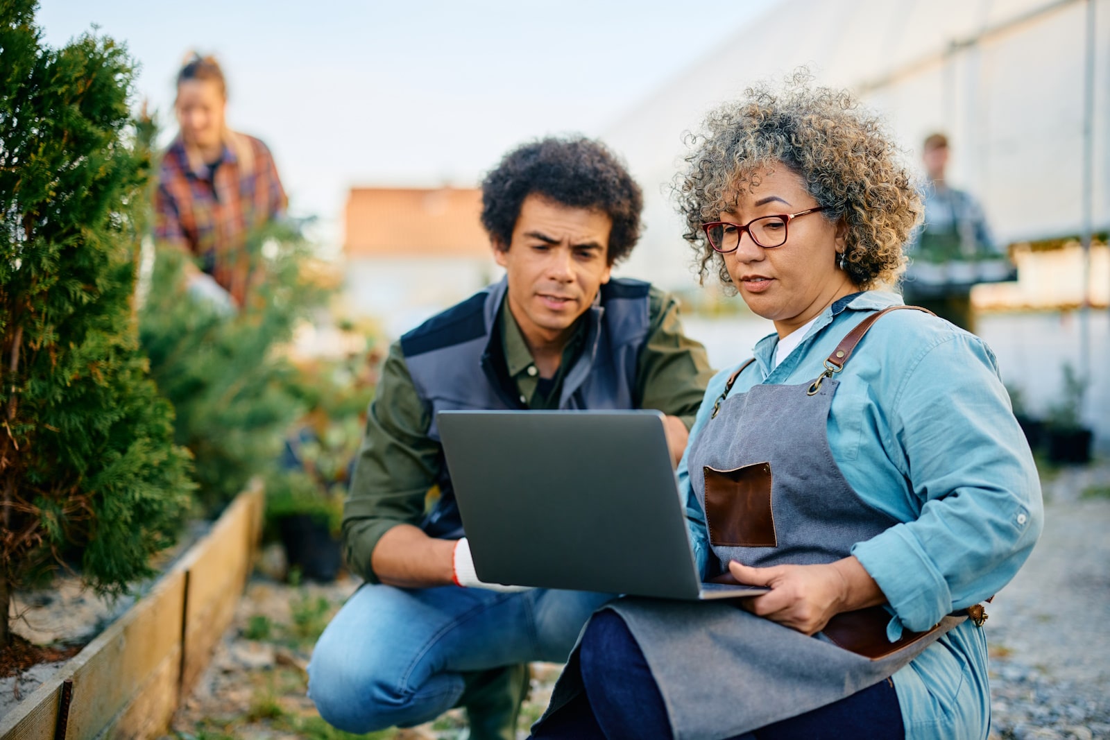 learning management systems in south africa