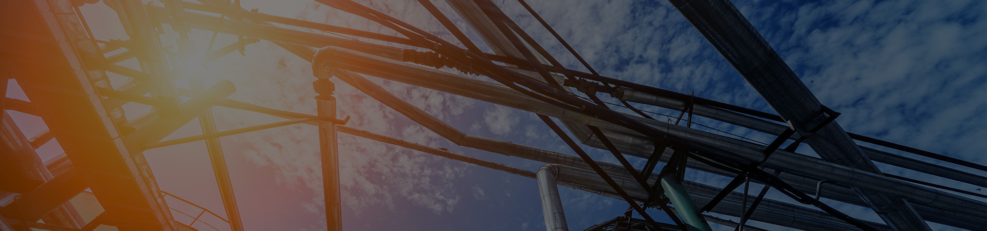 LMS for Industrial Training